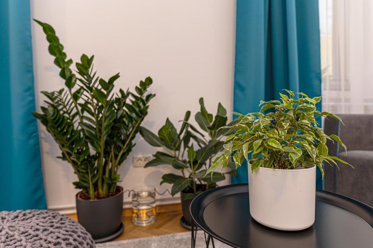 Garden Hideout - Central Apartment ブラショフ エクステリア 写真